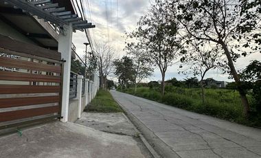 Lots for sale at Villa Benita Sub. Phase 2 near SM and S&R Cabanatuan City