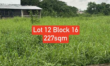 Lots for sale at Villa Benita Sub. Phase 2 near SM and S&R Cabanatuan City