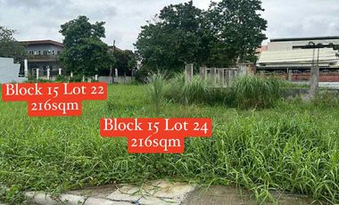 Lots for sale at Villa Benita Sub. Phase 2 near SM and S&R Cabanatuan City
