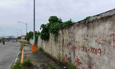 Industrial and Commercial Lots Along Mindanao Ave Extn to General Luis