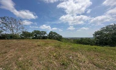 LOT FOR SALE: 796sqm Prime Residential Lot in Silang, Cavite - Lanewood Hills