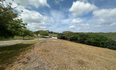 LOT FOR SALE: 796sqm Prime Residential Lot in Silang, Cavite - Lanewood Hills