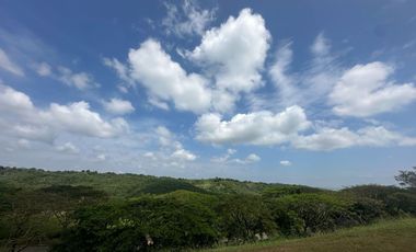 LOT FOR SALE: 505sqm Horizon Residential Lot in Silang, Cavite - Lanewood Hills