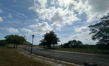 LOT FOR SALE: 505sqm Horizon Residential Lot in Silang, Cavite - Lanewood Hills