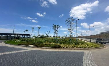 LOT FOR SALE: 505sqm Horizon Residential Lot in Silang, Cavite - Lanewood Hills