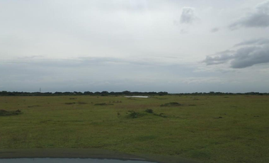 LOT FOR SALE: 525sqm Courtyard Residential Lot in Dasmariñas Cavite - The Courtyards at Vermosa