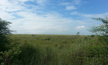 LOT FOR SALE: 640sqm Courtyard Parkview Residential Lot in Dasmariñas Cavite - The Courtyards at Vermosa