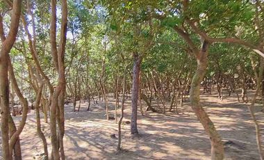 BEACHFRONT BeachLot for Sale in Calatagan Batangas , affordable na Installment pa