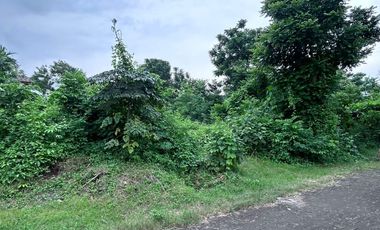 Lahan langka 510m² di Pecatu indah Resort Bali