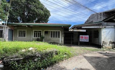 BIG Lot!!! in Manuela Subd., Las Piñas