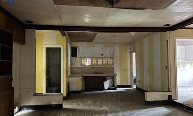 BIG Lot!!! in Manuela Subd., Las Piñas