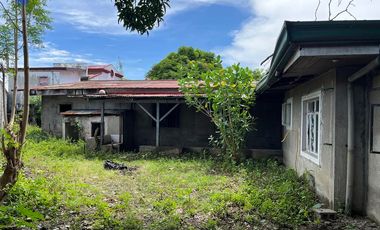 BIG Lot!!! in Manuela Subd., Las Piñas