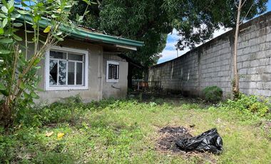 BIG Lot!!! in Manuela Subd., Las Piñas