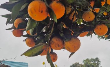 Se vende gran vivienda con amplio terreno en El Retiro, Quilpué.