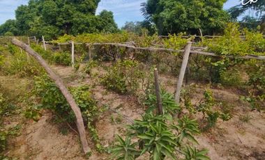 ¡Casa de campo en Ica lista para terminar a tu gusto! 🌴 Amplia, bien ubicada y con todos los servicios