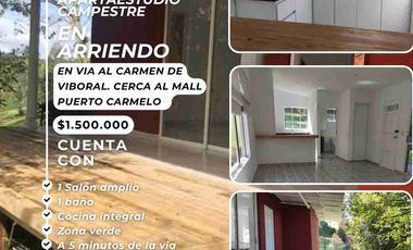 SE ARRIENDA APARTAESTUDIO CAMPESTRE  EN LA VIA AL CARMEN DE VIBORAL.