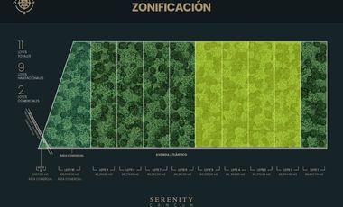INVIERTE EN UNO O MAS LOTES EN CANCÚN QUINTANA ROO