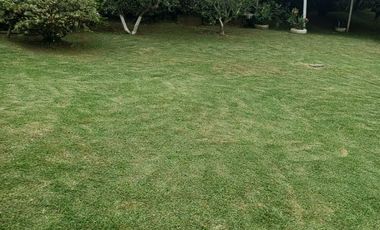 Venta Casa Campestre en vereda Betulia Eje Cafetero