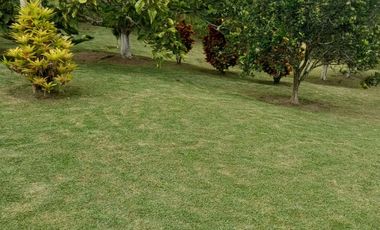 Venta Casa Campestre en vereda Betulia Eje Cafetero
