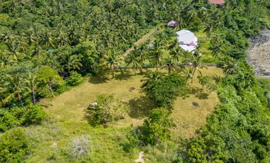 🌴 Build Your Coastal Retreat! 6,508 SQM Titled Oceanfront Lot in Romblon