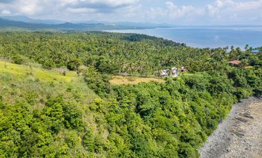 🌴 Build Your Coastal Retreat! 6,508 SQM Titled Oceanfront Lot in Romblon