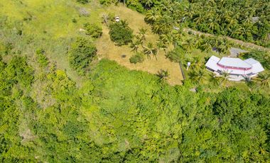 🌴 Build Your Coastal Retreat! 6,508 SQM Titled Oceanfront Lot in Romblon