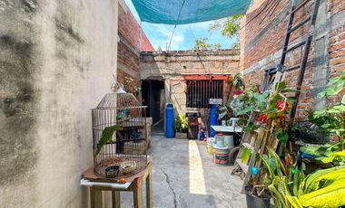 Casa Lily