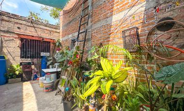 Casa Lily