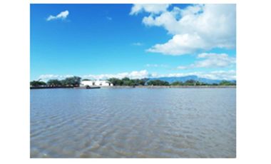 VENTA RANCHO TECOZAUTLA, HIDALGO