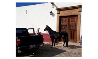 VENTA RANCHO TECOZAUTLA, HIDALGO