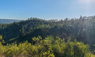 Venta de Parcelas excelente oportunidad, San Pedro de Alcántara comuna de Paredones, region de O´Higgins.