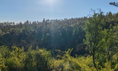 Venta de Parcelas excelente oportunidad, San Pedro de Alcántara comuna de Paredones, region de O´Higgins.