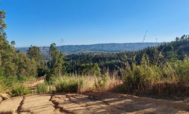 Venta de Parcelas excelente oportunidad, San Pedro de Alcántara comuna de Paredones, region de O´Higgins.