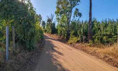 Venta de Parcelas excelente oportunidad, San Pedro de Alcántara comuna de Paredones, region de O´Higgins.