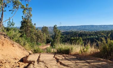 Venta de Parcelas excelente oportunidad, San Pedro de Alcántara comuna de Paredones, region de O´Higgins.