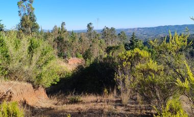 Venta de Parcelas excelente oportunidad, San Pedro de Alcántara comuna de Paredones, region de O´Higgins.