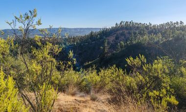 Venta de Parcelas excelente oportunidad, San Pedro de Alcántara comuna de Paredones, region de O´Higgins.