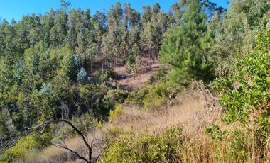 Venta de Parcelas excelente oportunidad, San Pedro de Alcántara comuna de Paredones, region de O´Higgins.