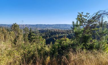 Venta de Parcelas excelente oportunidad, San Pedro de Alcántara comuna de Paredones, region de O´Higgins.