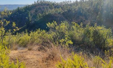 Venta de Parcelas excelente oportunidad, San Pedro de Alcántara comuna de Paredones, region de O´Higgins.