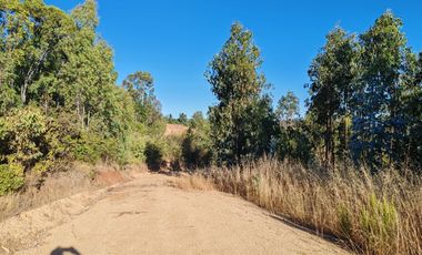 Venta de Parcelas excelente oportunidad, San Pedro de Alcántara comuna de Paredones, region de O´Higgins.