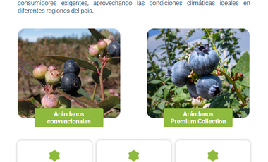 🌱 FUNDO AZUL 2° ETAPA. ¡INVIERTE EN EL AGRO DEL FUTURO Y GANA DESDE CASA!