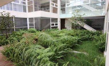Departamento en Renta – Coyoacán, CDMX | 2 Recámaras + Terraza + Amenidades