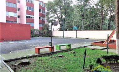 Departamento en Renta en San Pedro Mártir, Tlalpan
