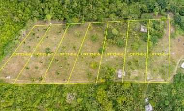 Moon Lion Terrace: Ocean-View Titled Lots in Tablas Island, Romblon, Philippines