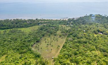 Moon Lion Terrace: Ocean-View Titled Lots in Tablas Island, Romblon, Philippines