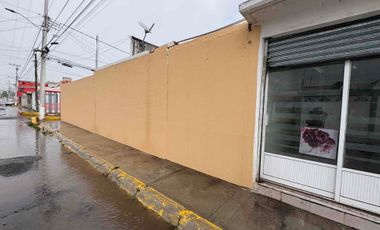 CASA CON LOCAL EN RENTA EN RINCONADAS DEL VENADO