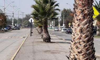 Casa 3 dorm.3 baños, 4 Poniente, El Abrazo. Maipú
