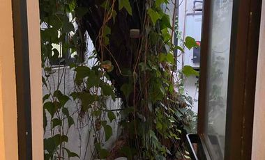 ENCANTADORA CASA EN RENTA EN LOMAS ALTAS