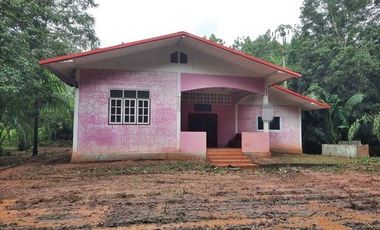 A5-0645 ขายบ้านพร้อมที่ดินและสวนยาง ตำบลท่าสะอาด อำเภอเซกา บึงกาฬ